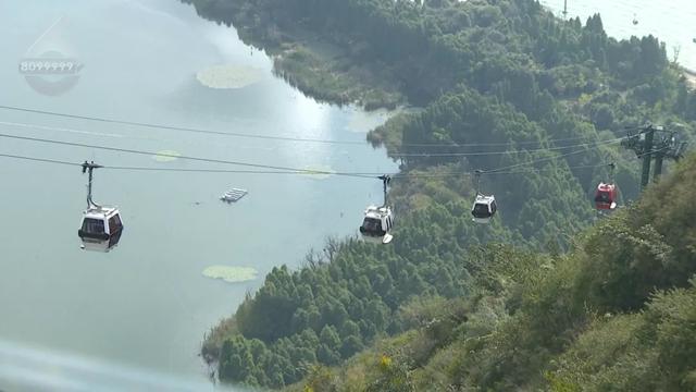 这才是重阳节该有的样子！爬西山、买花、吃重阳糕…昆明人的过节“三件套”齐了~