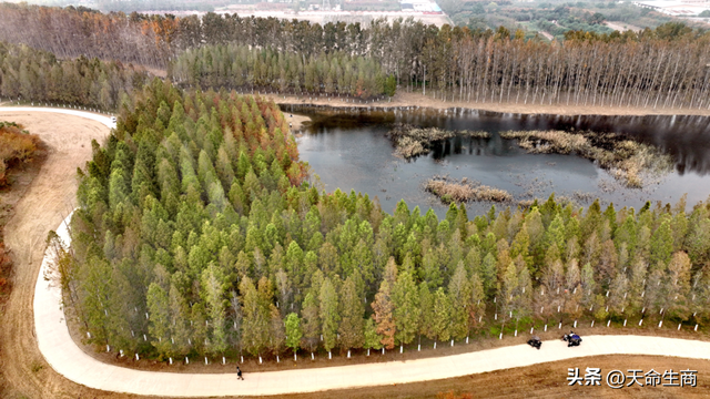 商丘：一城斑斓入画来