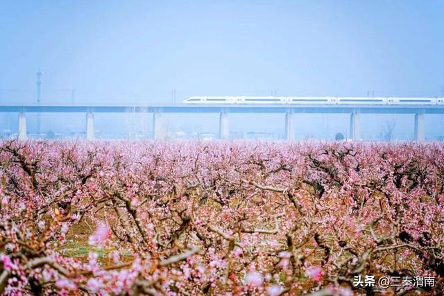 渭南乡韵·千年一村 ③ | 遇仙村：一个藏着千年传说的“仙境”古村