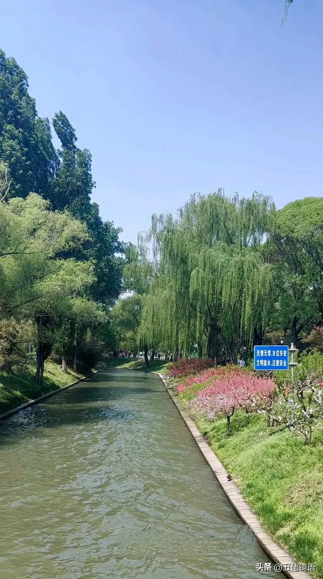 自拍影集（30）紫竹院公园风景绿水轻舟·上