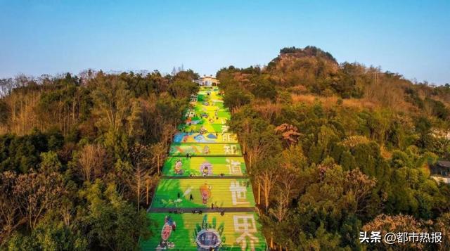 云阳五日深度游攻略！登高+游玩两不误！