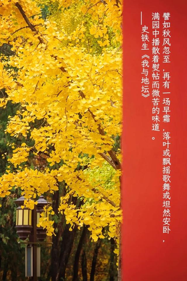 来东城,寻觅那些美好文字里的秋天——