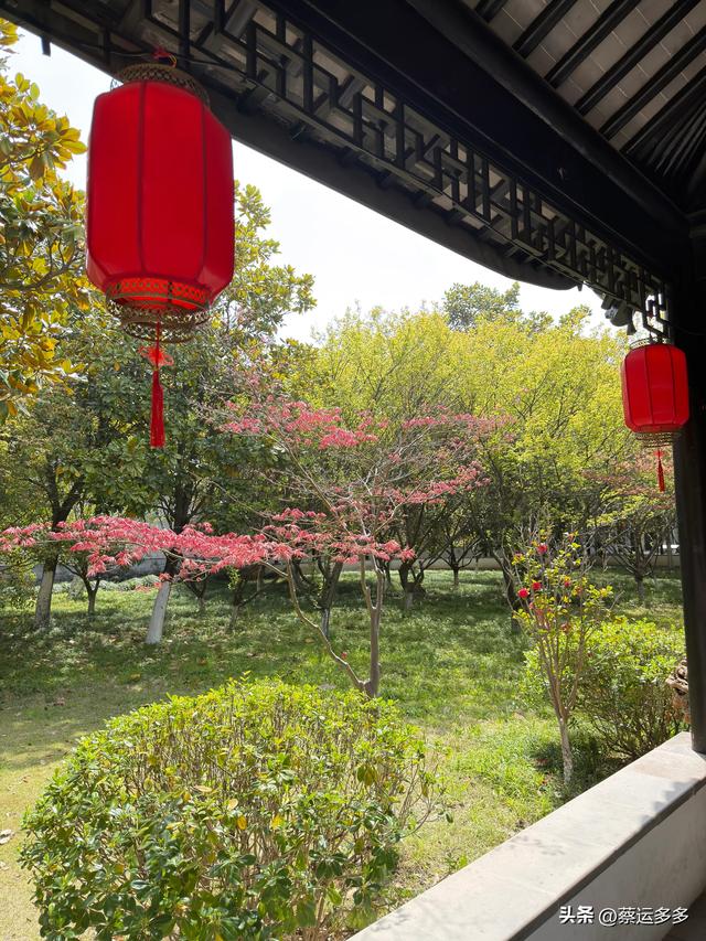 清明访千灯，顾园寄幽思