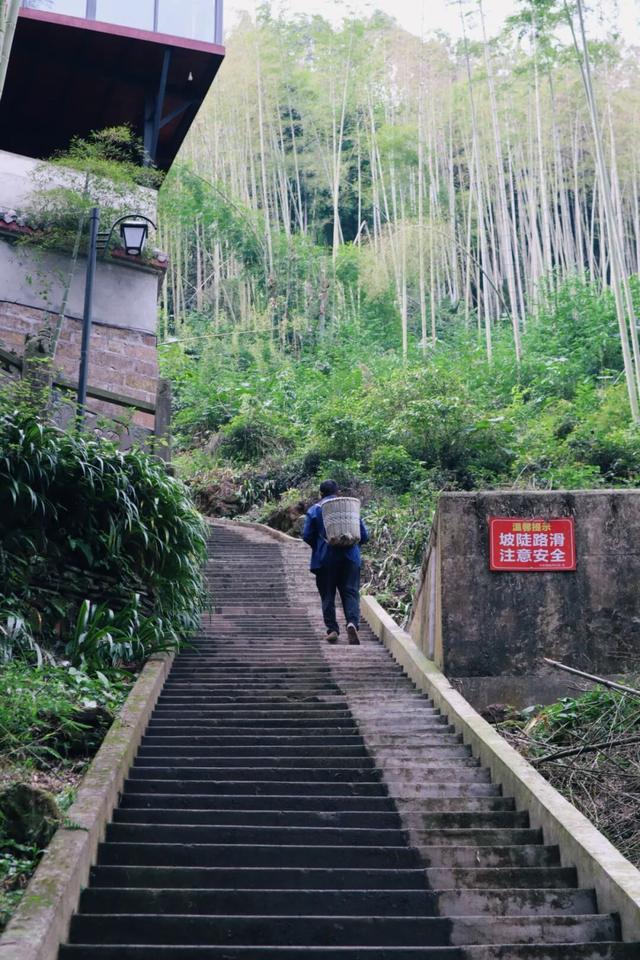 周末就冲！亲测3条被严重低估的徒步线，林海吸氧峡谷石窟！全部免费最快40min飙拢！