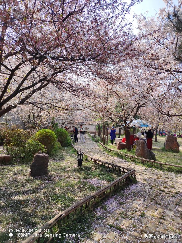 最美最妩媚，人间四月天