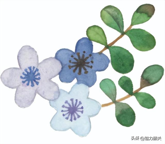 韶关翁源景轩酒店11月9日试营业