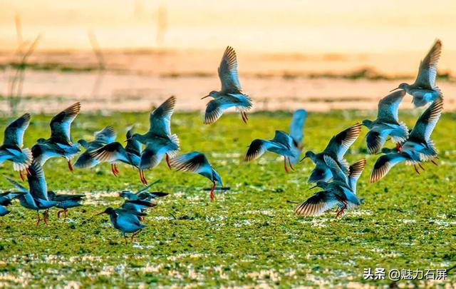 跨越山海的生态之约 奏响人与自然和谐乐章