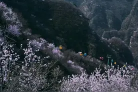 野三坡强势回归！解密“三次创业”背后的青春密码图片