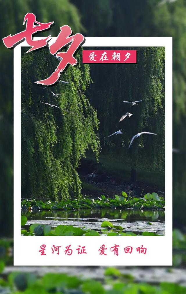 七夕遇温县，一眼即千年！