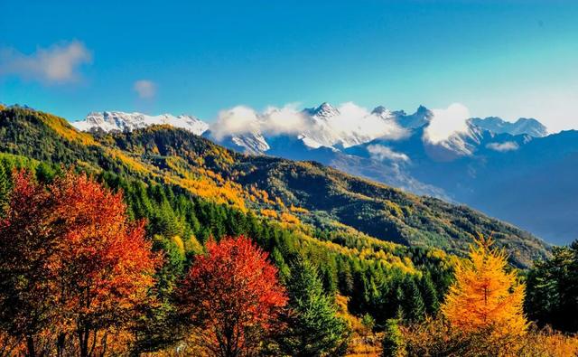 秋假福利持续至本周末！免票游雅安的快乐要一接再接！