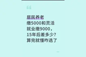 居民养老缴5000和灵活就业缴9000，15年后差多少？算完就懂咋选了图片