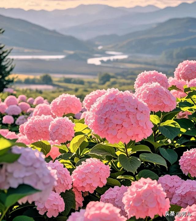 两性关系,女生发“嗯嗯”是什么意思,男人一定要懂