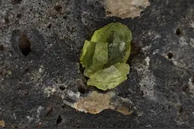 南京六合区发现大量橄榄石，不少市民前往挖掘，卖工具的发了财图片