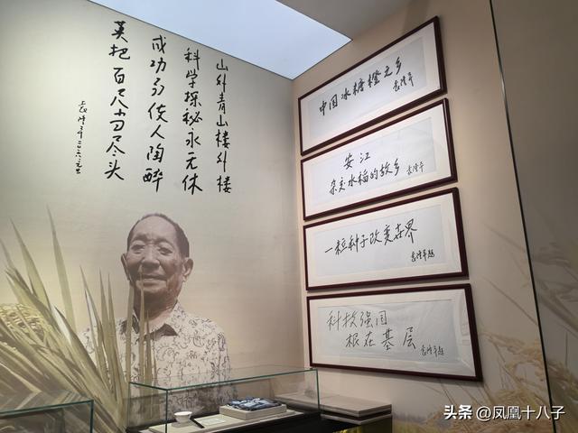 一粒种子改变世界（走进怀化安江农校探寻袁隆平院士足迹）