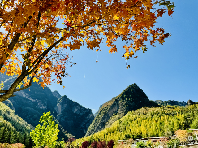 这么好看，不愧是遮阳山的秋天！