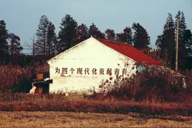农民社保养老金：中央 143元/月，上海1555元/月，贵州233元/月图片