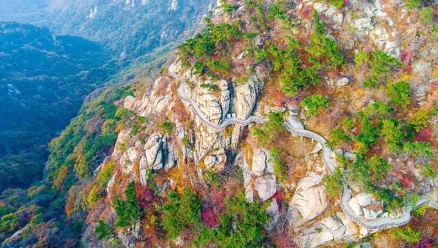 重阳节，在临沂这样过——9.9元景区特惠、赏菊、登高、祈福……