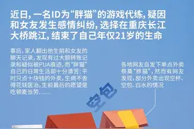 甲辰杂说—深挖“胖猫”事件，我们都被骗了吗？图片