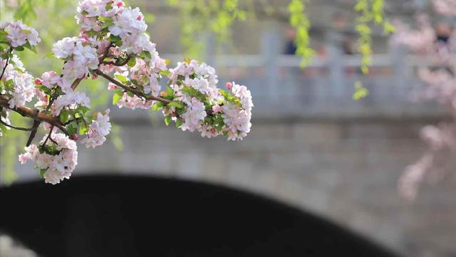 我家兄妹三个母亲跟我养老	，每月给我3000生活费，两个哥哥不乐意