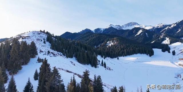天山北坡遇奇景，零下雪景如仙境，我被这美景彻底震撼了