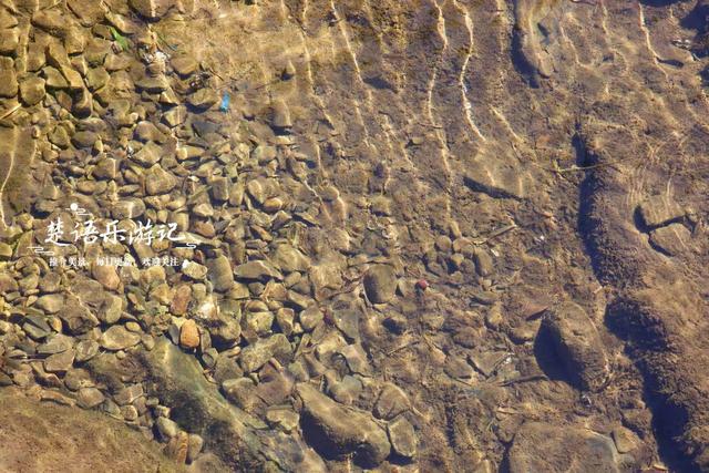 浙江宁波桥坑山麓的古村，既是文化名村又是景区村庄，景色确实美