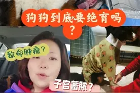 别再相信宠物医师的话，宠物绝育还有这些坏处，别说我没告诉你图片