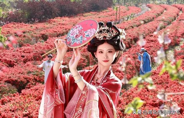 杜鹃花免费送！来西海岸赏花海、看演出！