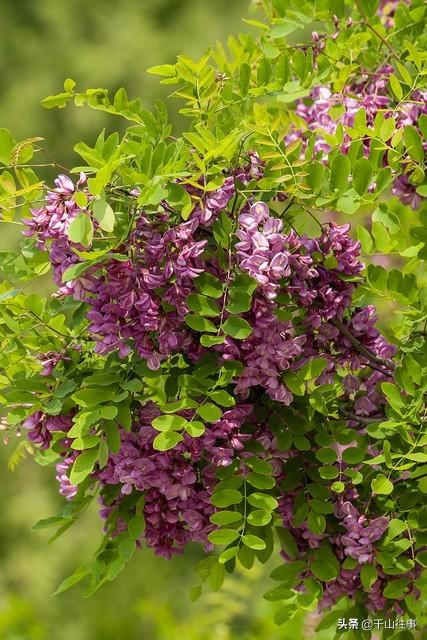 告别骑行“数据焦虑”3条枣庄小众路线，从晒圈狂躁症到四季治愈