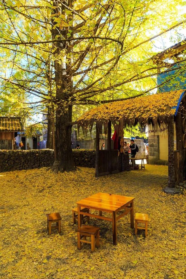 地理冷知识———云南保山