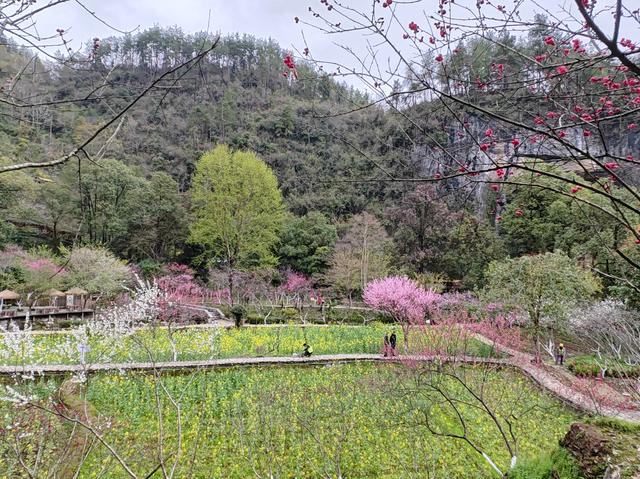 重庆酉阳桃花源，必须点赞！