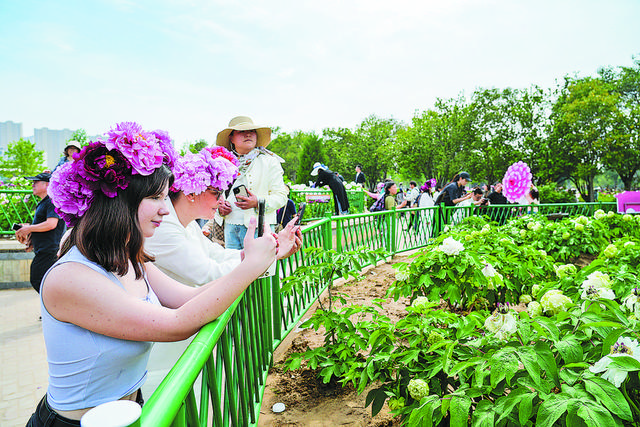 四月菏泽 人间最美的风景——中外游客共赴花事，乐享春日美好时光