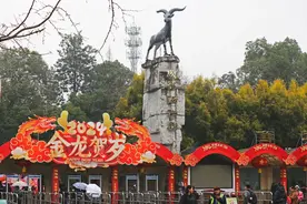 春节期间共有超611万市民游客走进公园绿道图片