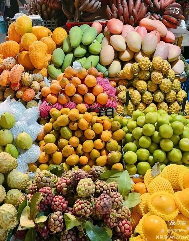 被世界推荐的旅游圣地~西双版纳之行随想