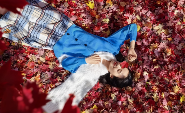 红枫影像：始于光学，抵达心学