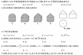 2024年安徽省中考真卷数学试卷及答案解析图片