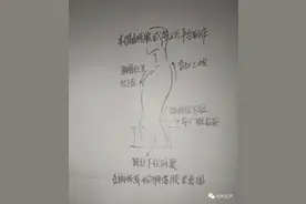 胸拔背、垂肩坠肘、虚领顶劲，终于有人讲清楚了图片