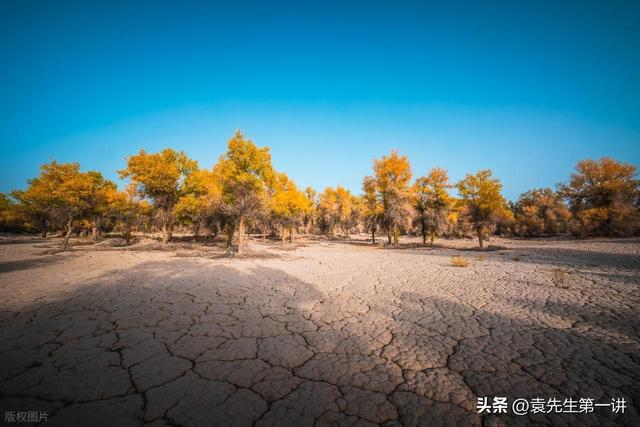 “上午立秋是空秋，下午立秋秋雨多”，今年立秋几点？有啥说法？