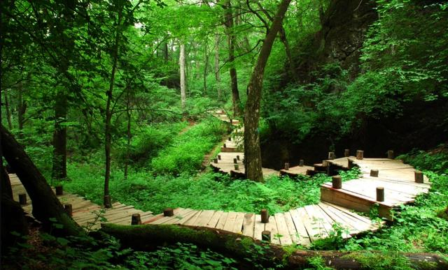 黑龙江一批景区即将开园！五一限定玩法请收藏