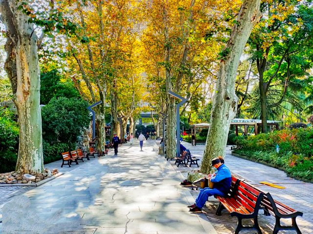 陪伴上海人70多年的“老友”要闭关升级了！这段历史头回听说？未来长啥样提前看！