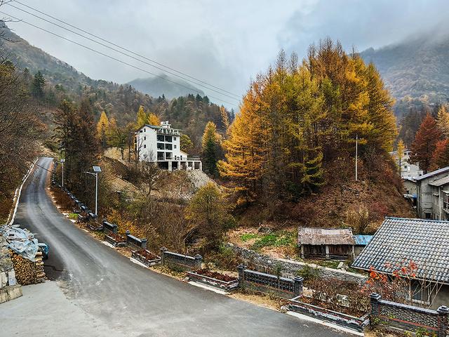 2024深秋四川行19 神农架风景区2 华中屋脊的五彩秘境