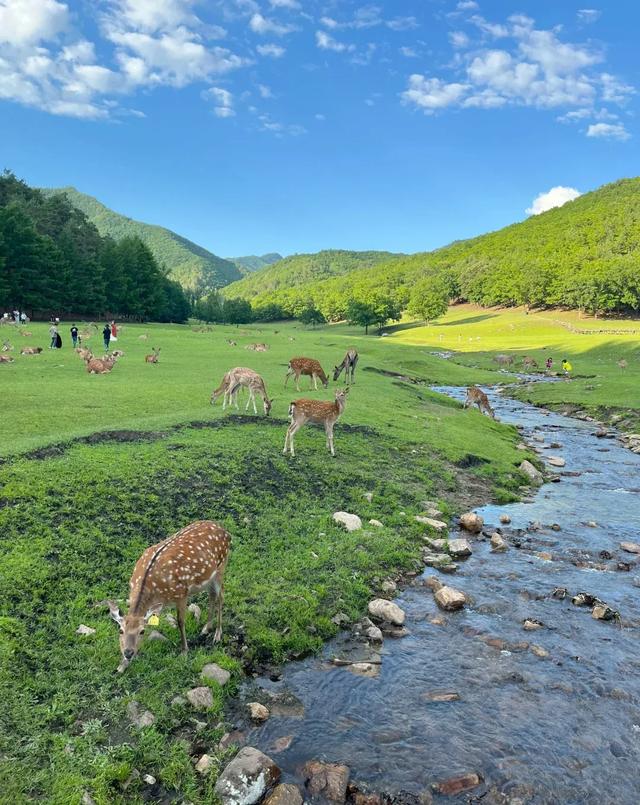 适合夏季避暑的6个绝佳旅行地，均温22℃，挑一个去享受清凉吧！
