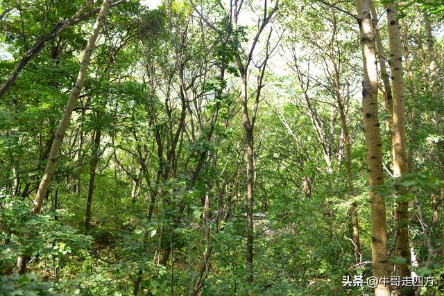 河北百草畔（中）：览尽三山舒望眼，行穿百草浣尘襟