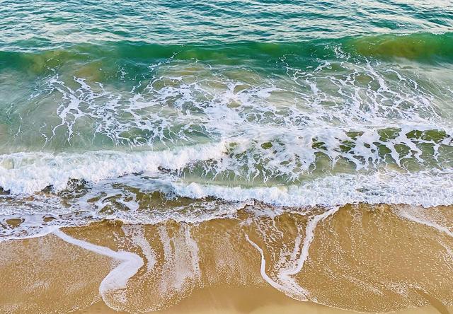 深圳最值得去的6个公园推荐！全部免费，地铁直达，好玩又好拍！