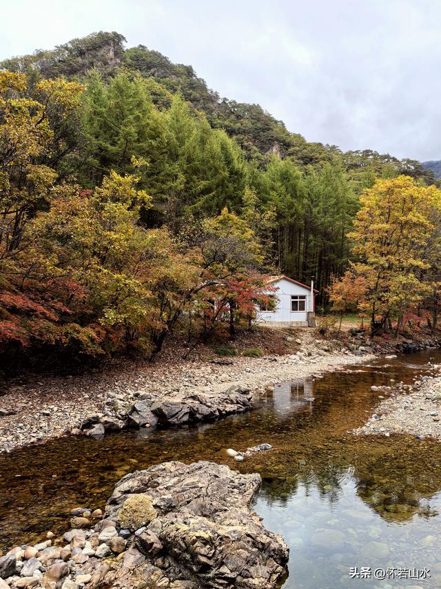 2025辽宁赏秋之旅日记(2)——游览丹东蒲石河森林公园