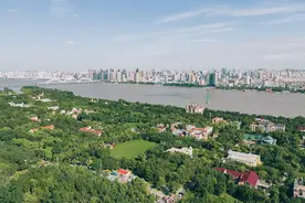 东北三省一区，出了个“大招”图片