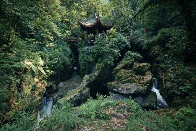 入伏后的峨眉山，在云卷云舒中等你来
