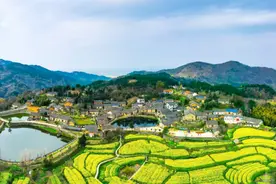 党建引领促发展 茶旅小镇焕新颜图片