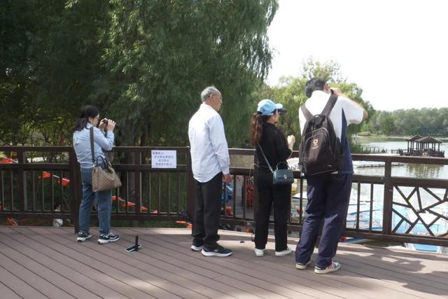 汉石桥湿地公园11月10日闭园，错过再等明年！