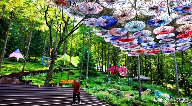 蛟河市文联用光影描绘红叶谷景区焕新升级新画卷