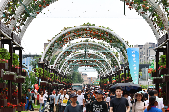 本周日在长春去哪逛？选项来了（前仨免费）
